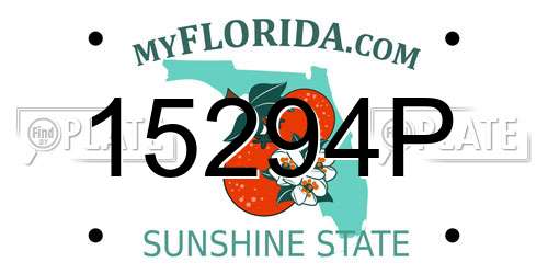 15294P Florida License Plate