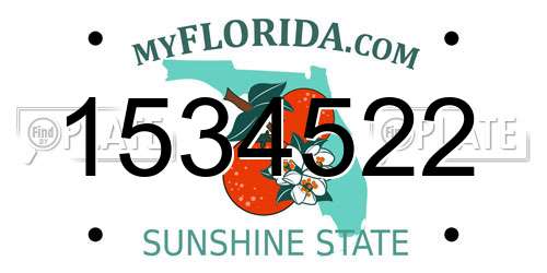 1534522 Florida License Plate