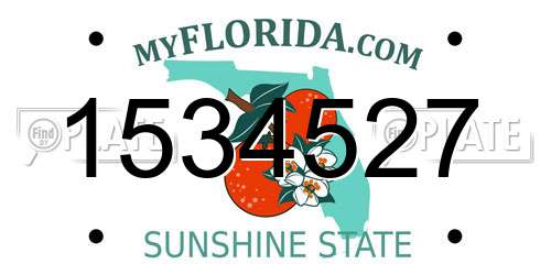 1534527 Florida License Plate
