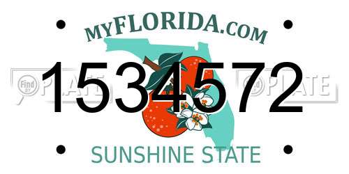 1534572 Florida License Plate