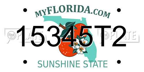 15345T2 Florida License Plate