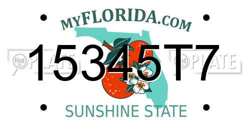 15345T7 Florida License Plate