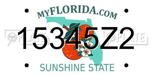 15345Z2 Florida License Plate