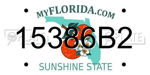 15386B2 Florida License Plate