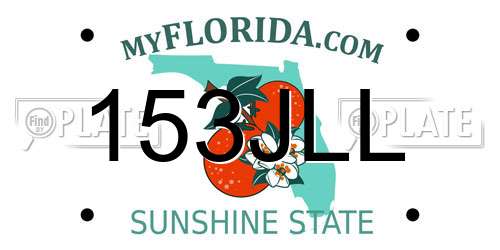 153JLL Florida License Plate