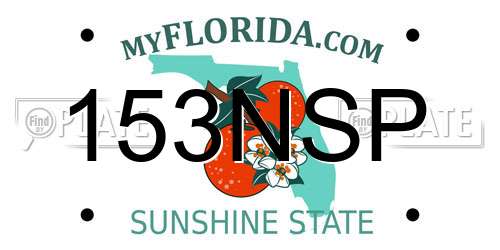 153NSP Florida License Plate