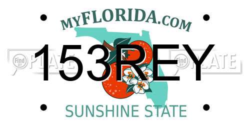 153REY Florida License Plate