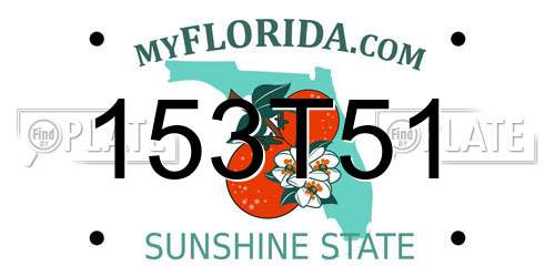 153T51 Florida License Plate