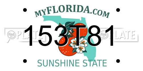 153T81 Florida License Plate