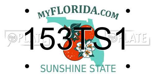 153TS1 Florida License Plate