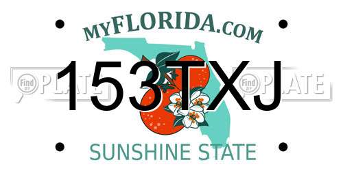 153TXJ Florida License Plate