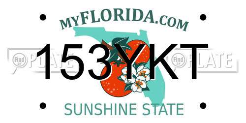 153YKT Florida License Plate