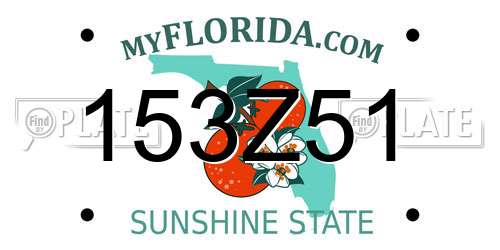 153Z51 Florida License Plate