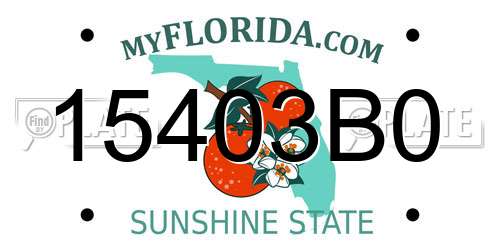 15403B0 Florida License Plate