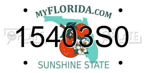 15403S0 Florida License Plate