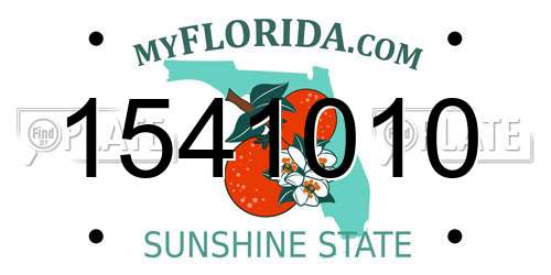 1541010 Florida License Plate
