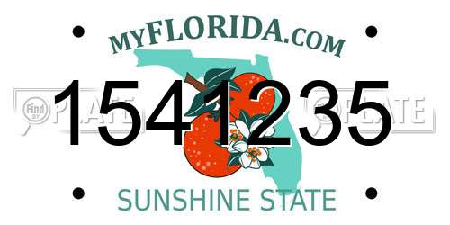 1541235 Florida License Plate