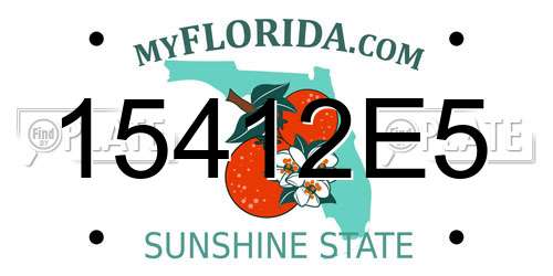 15412E5 Florida License Plate