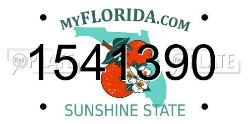 1541390 Florida License Plate