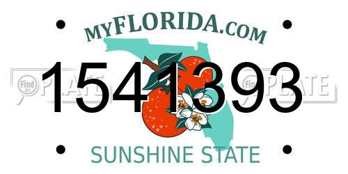 1541393 Florida License Plate