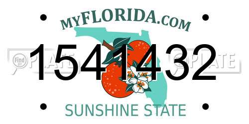 1541432 Florida License Plate
