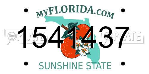 1541437 Florida License Plate