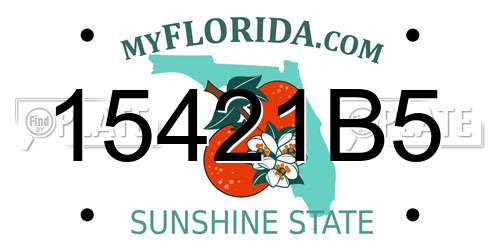 15421B5 Florida License Plate