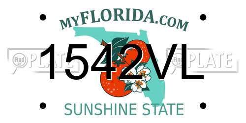 1542VL Florida License Plate