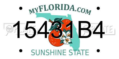 15431B4 Florida License Plate