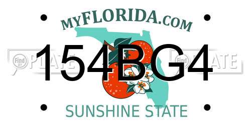 154BG4 Florida License Plate