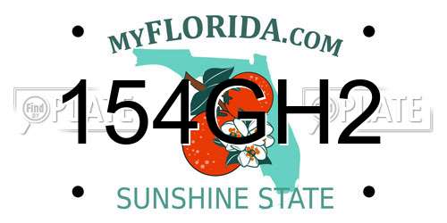 154GH2 Florida License Plate