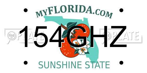 154GHZ Florida License Plate