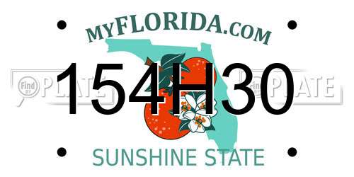 154H30 Florida License Plate