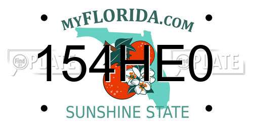154HE0 Florida License Plate