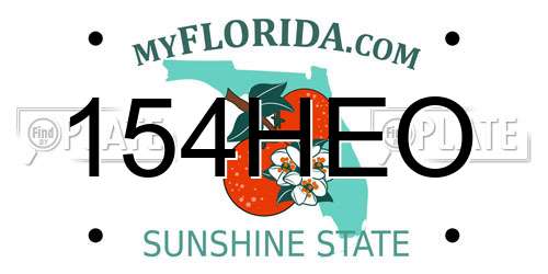 154HEO Florida License Plate