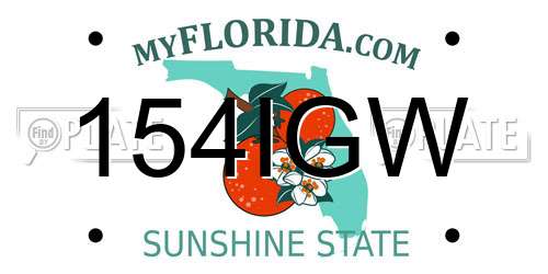 154IGW Florida License Plate