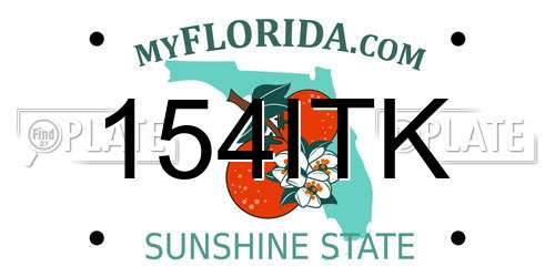 154ITK Florida License Plate