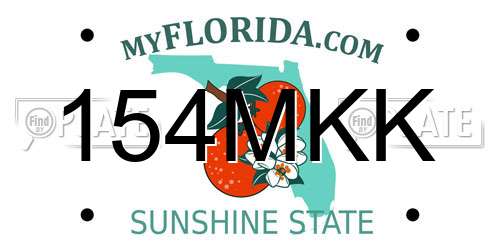 154MKK Florida License Plate