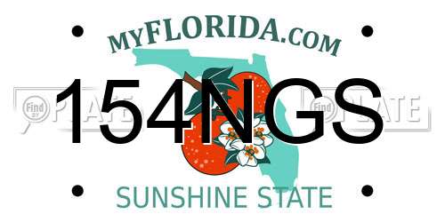 154NGS Florida License Plate