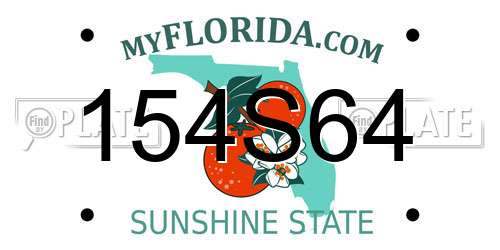 154S64 Florida License Plate