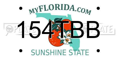 154TBB Florida License Plate