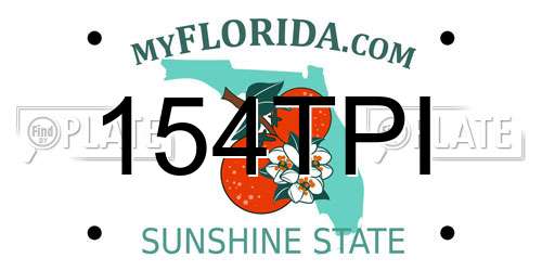 154TPI Florida License Plate