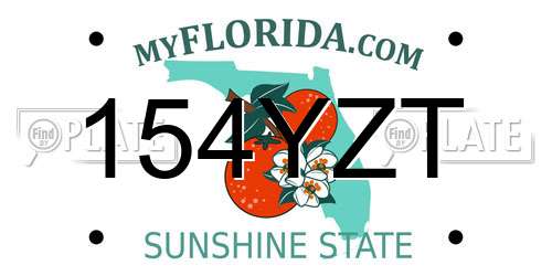 154YZT Florida License Plate