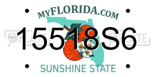 15518S6 Florida License Plate