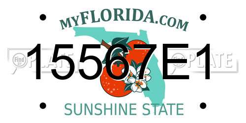 15567E1 Florida License Plate