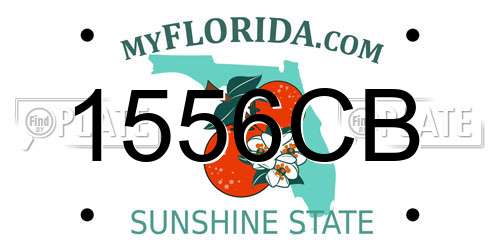 1556CB Florida License Plate
