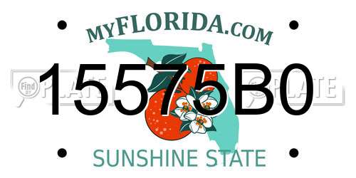 15575B0 Florida License Plate