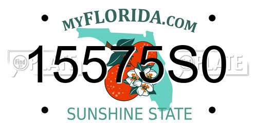 15575S0 Florida License Plate