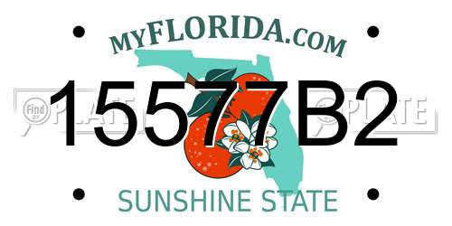 15577B2 Florida License Plate
