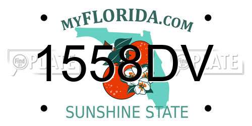 1558DV Florida License Plate